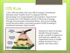 What Is The 10 Rule In Ecology