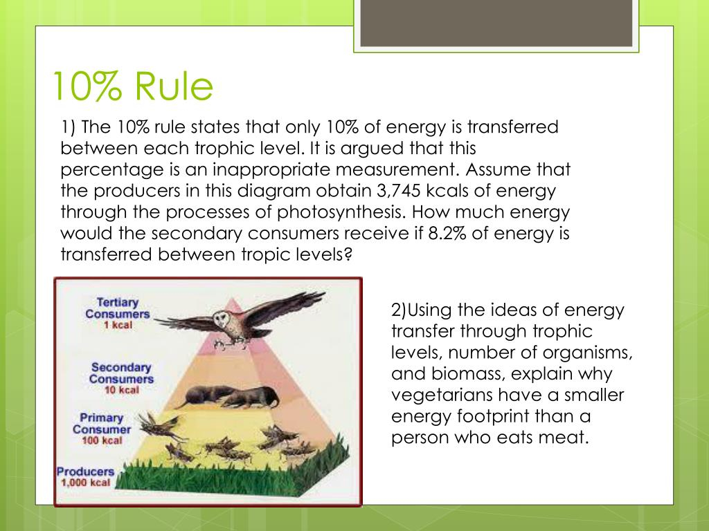 What Is The 10 Rule In Ecology