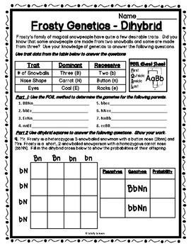 Winter Dihybrid Cross Worksheet Snowman Genetics Punnett Square Worksheet