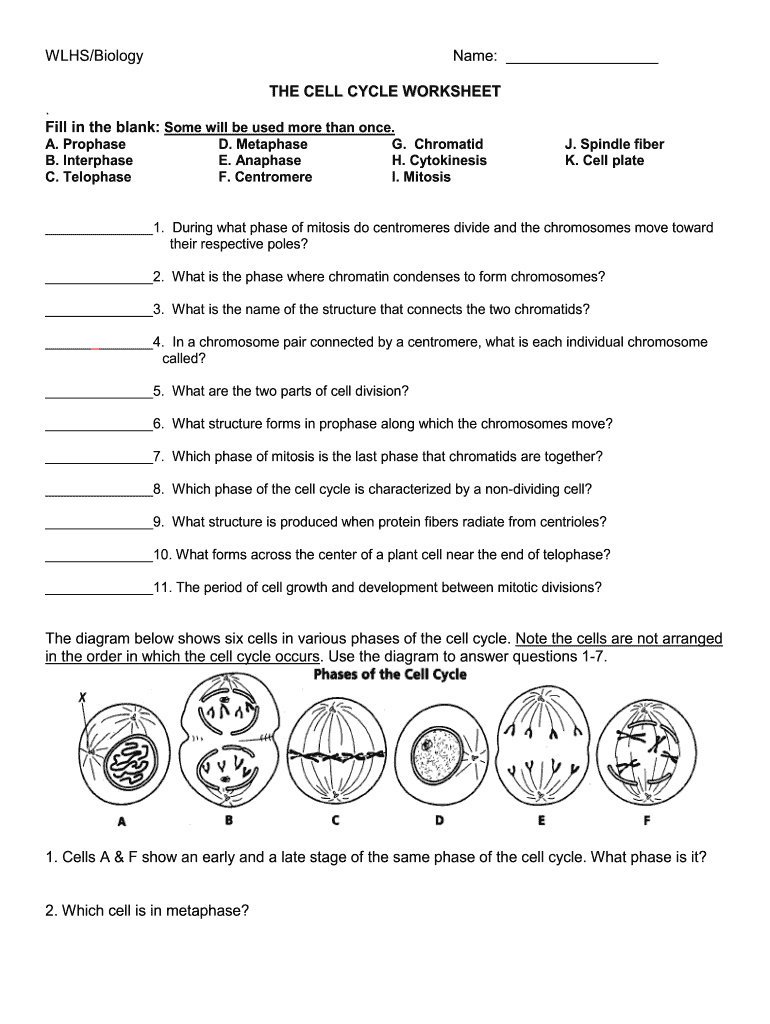 Wlhs Biology The Cell Cycle Worksheet Answer Key Fill Online 