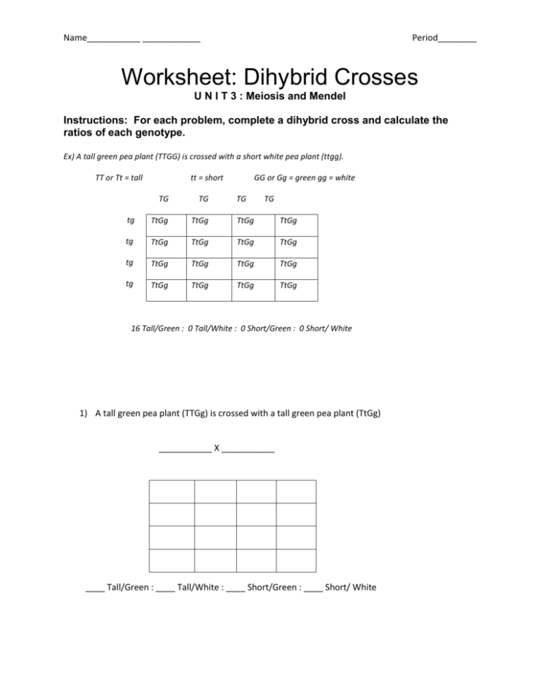 Worksheet Dihybrid Crosses