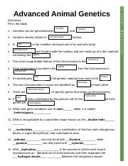 Worksheet docx Advanced Animal Genetics Directions Fill In The Blank 
