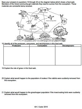 Worksheet Energy Transfer In An Ecosystem CR EDITABLE TpT