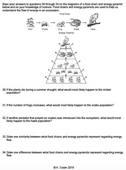 Worksheet Energy Transfer In An Ecosystem CR EDITABLE TPT