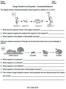 Worksheet Energy Transfer In An Ecosystem CR EDITABLE TPT
