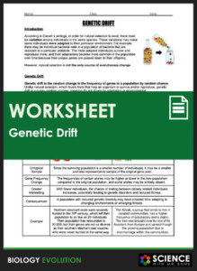 Worksheet Evolution Genetic Drift Bottleneck Founder Effect