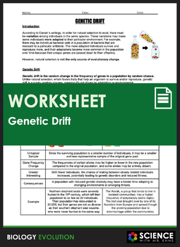 Worksheet Evolution Genetic Drift Bottleneck Founder Effect