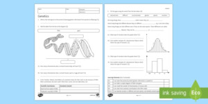 Worksheet Genetics Some Of The Basics