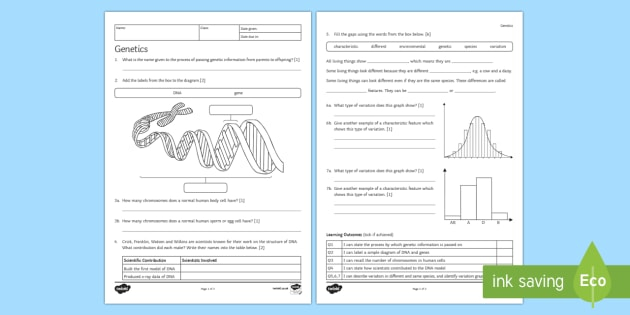 Worksheet Genetics Some Of The Basics