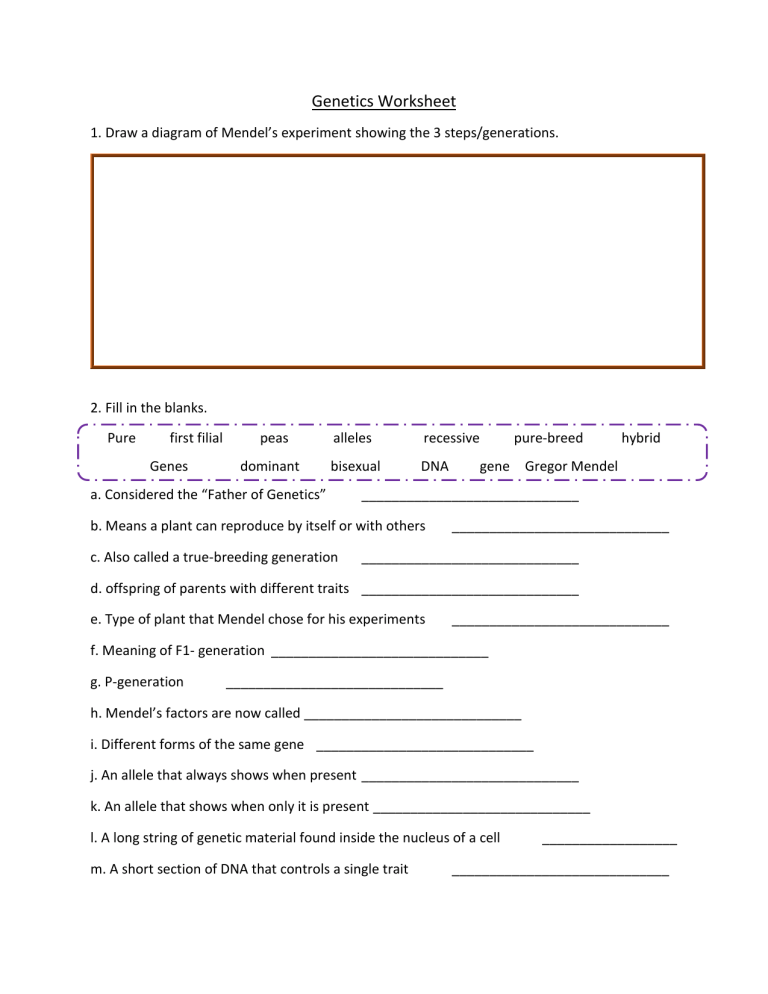 Worksheet Genetics Some Of The Basics
