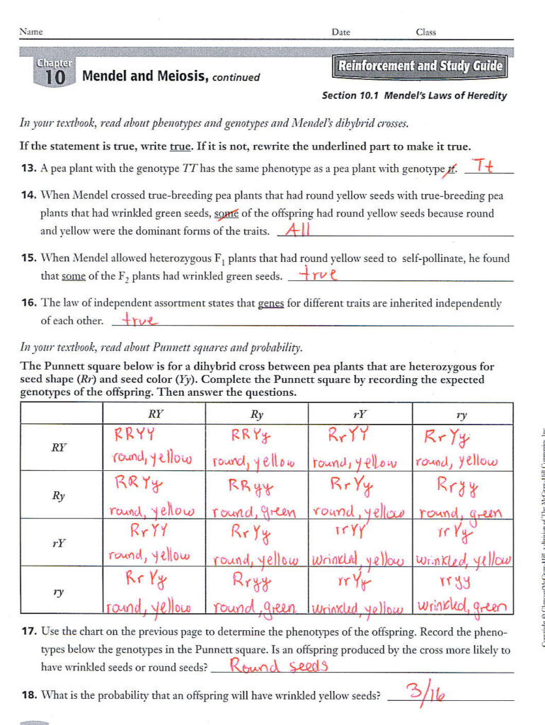 Worksheet Mendel And Meiosis Worksheet Answers Worksheet Fun 