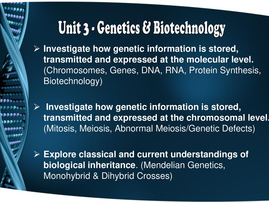 Worksheet Monohybrid Crosses Unit 3 Genetics Worksheets For Kindergarten
