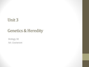 Worksheet Monohybrid Crosses Unit 3 Genetics Worksheets For Kindergarten