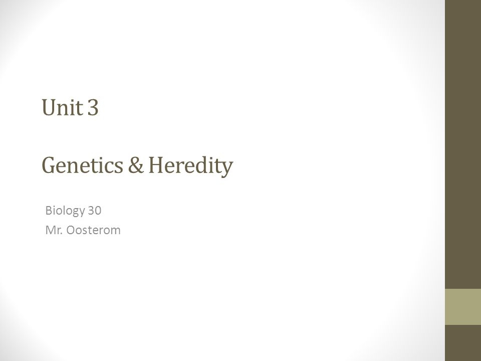 Worksheet Monohybrid Crosses Unit 3 Genetics Worksheets For Kindergarten
