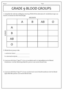 Worksheet On Blood Type