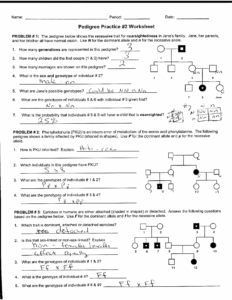 Worksheet Pedigree Practice With Answer Key Exercises Genetics