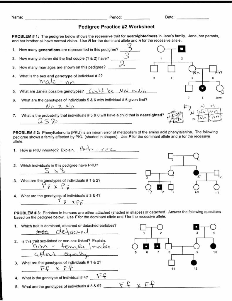 Worksheet Pedigree Practice With Answer Key Exercises Genetics 