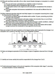 Worksheet Secondary Ecological Succession EDITABLE TPT