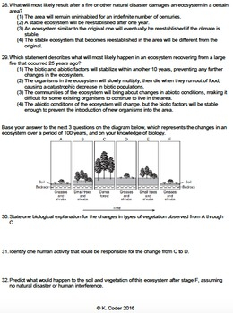 Worksheet Secondary Ecological Succession EDITABLE TPT
