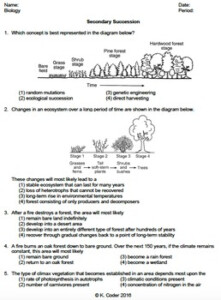 Worksheet Secondary Ecological Succession EDITABLE TpT
