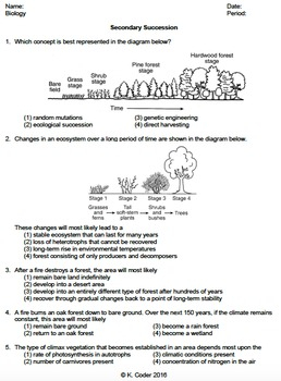Worksheet Secondary Ecological Succession EDITABLE TpT
