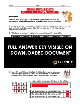 Worksheet Squirrel Genetics With Incomplete Dominance And Codominance 