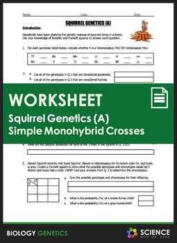 Worksheet Squirrel Genetics With Monohybrid Crosses Part A TpT