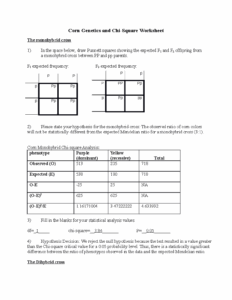 WS2 Mendelian Corn Genetics Corn Genetics And Chi Square Worksheet