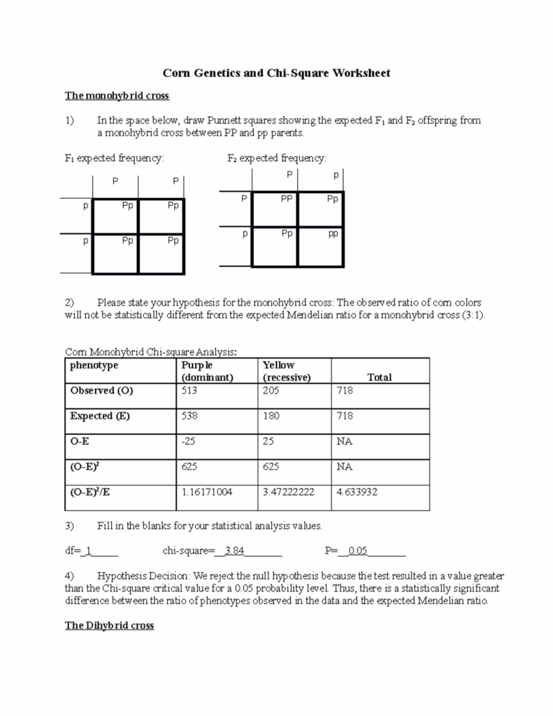 WS2 Mendelian Corn Genetics Corn Genetics And Chi Square Worksheet 
