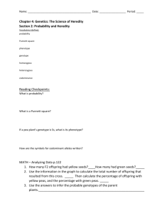 Wuggygumples Genetics Worksheet Practice Problems