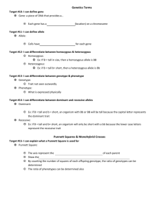 Wuggygumples Genetics Worksheet Practice Problems
