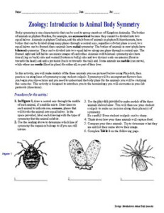 Zoology Body Symmetry Activity By BioDiva Teachers Pay Teachers