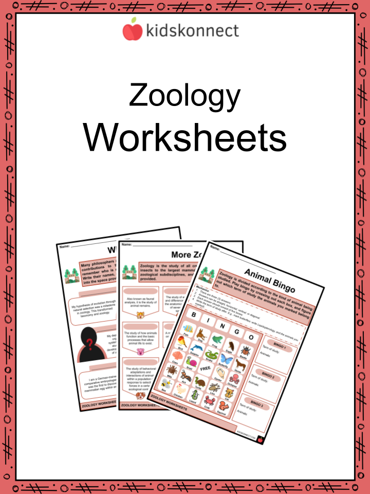 Zoology Worksheets Facts Historical Background Branches
